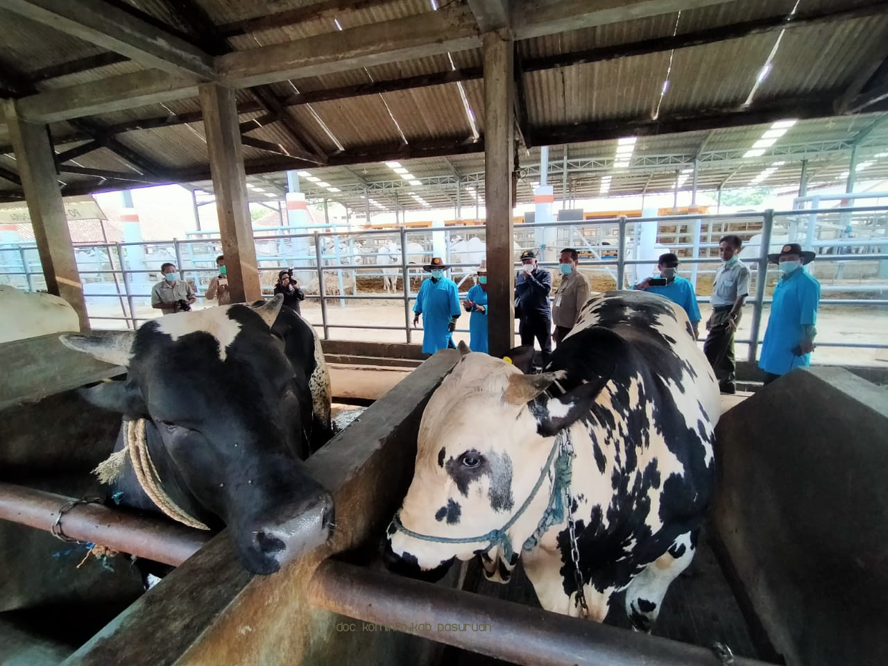 Wakil Gubernur Kalimantan Tengah, Habib Ismail Kagum Lihat Pengembangan Sapi di Pasuruan