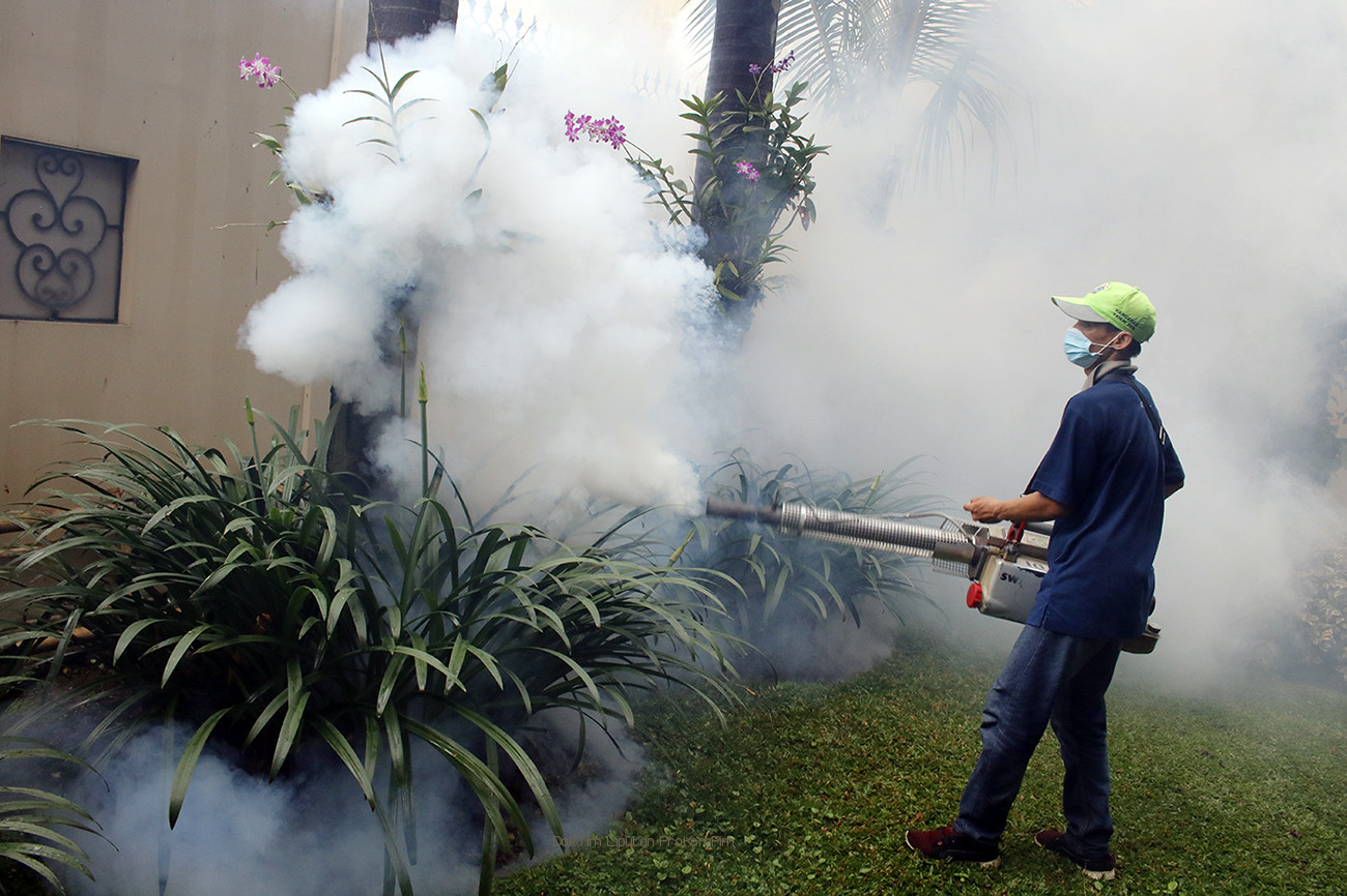 4 Bulan 4 Warga Meninggal DBD. Dinkes Kabupaten Pasuruan Minta Masyarakat Waspada
