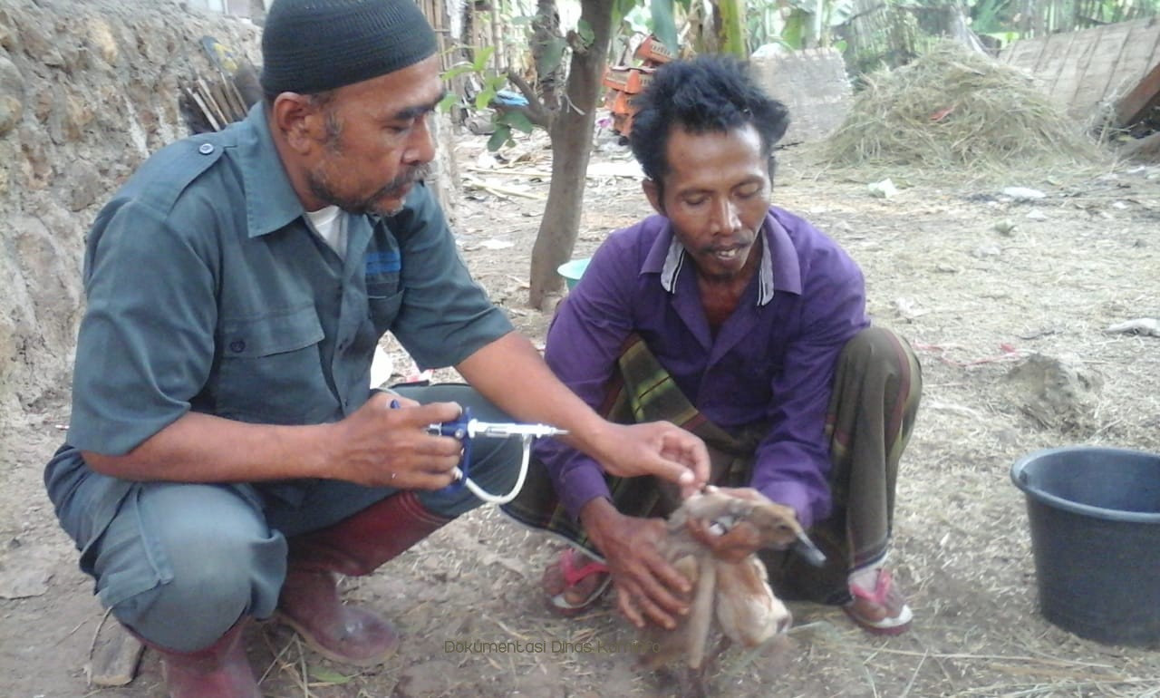 Gambar berita