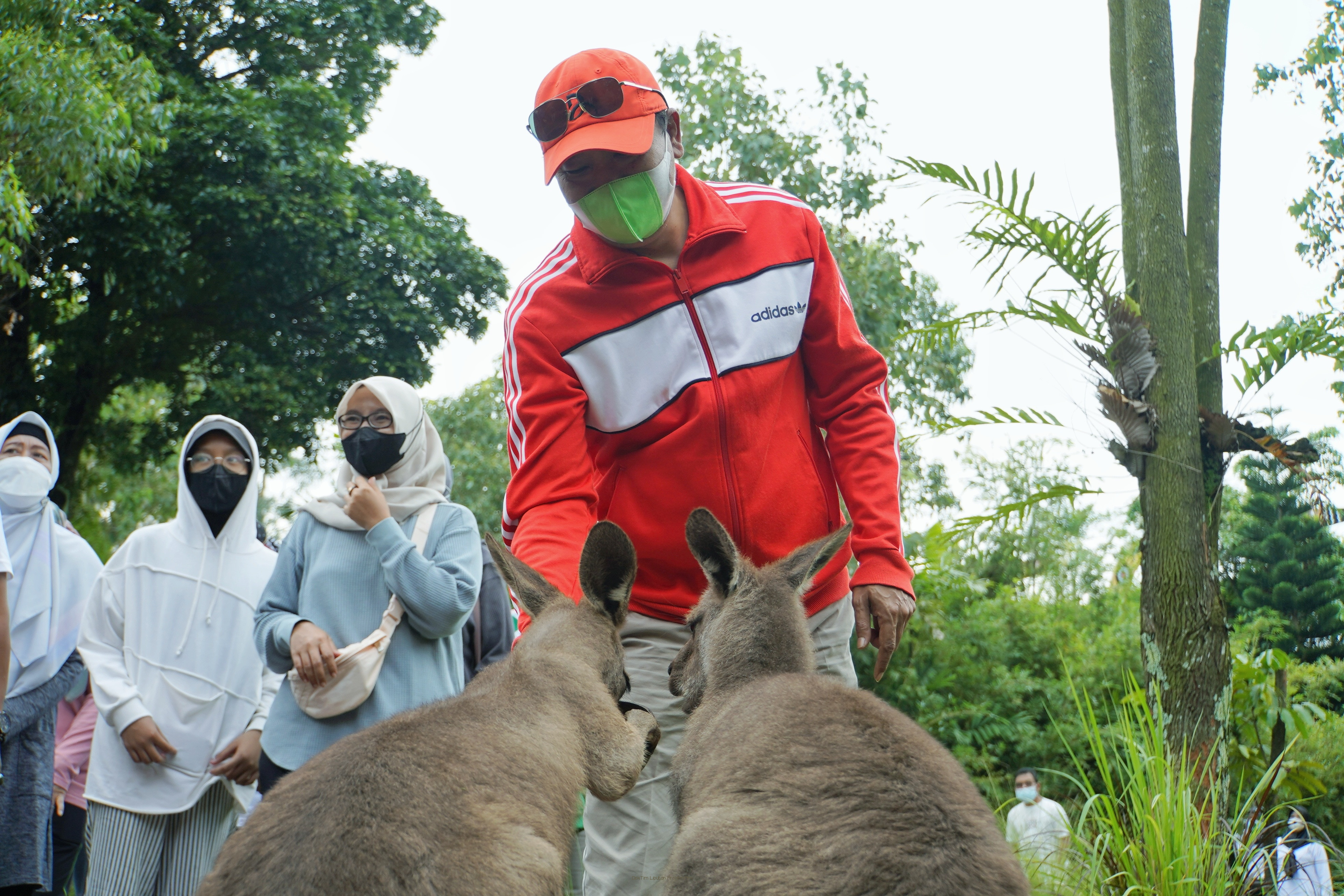 Gambar berita