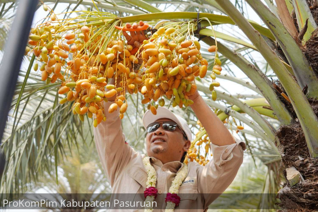 Bupati Optimis, Kurma Park Jadi Icon Destinasi Wisata Kabupaten Pasuruan