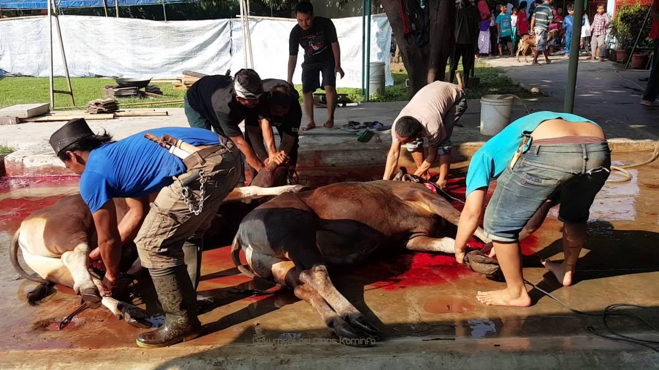 Realisasi Pendapatan RPH di Kabupaten Pasuruan Capai Rp 184 Juta