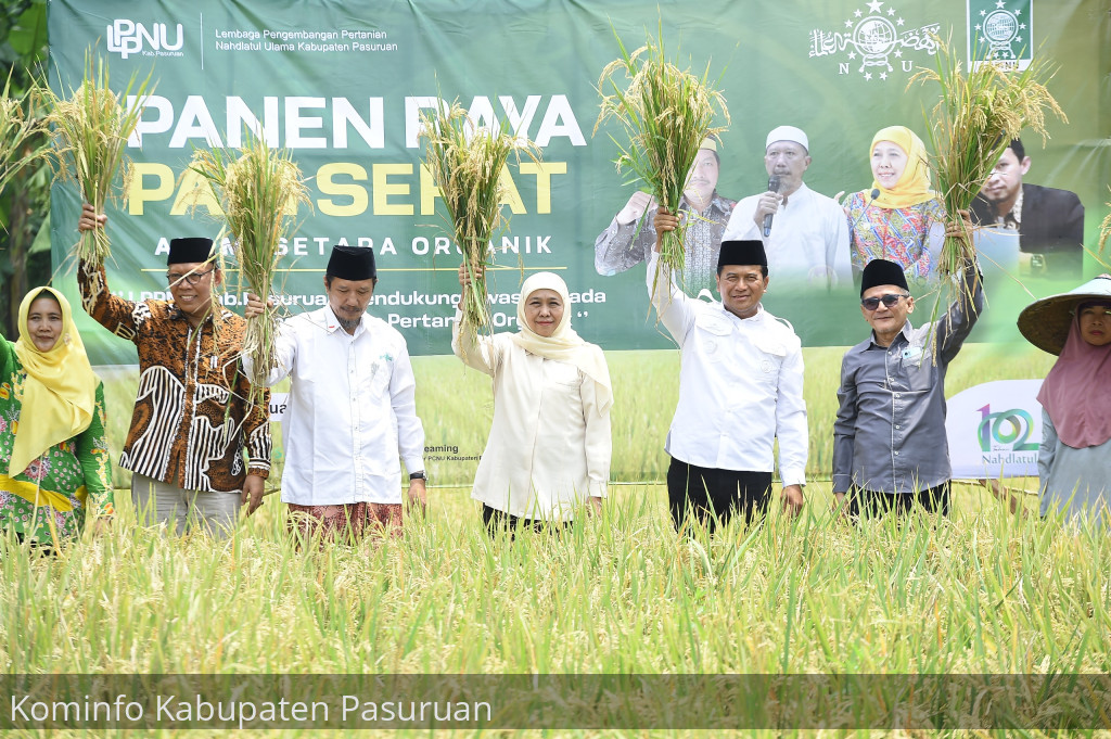 Gubernur Jatim Terpilih Panen Raya Padi Sehat Bareng Petani Kabupaten Pasuruan