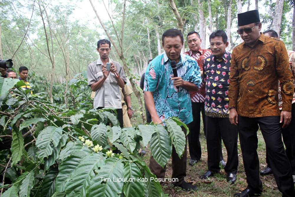 Pertajam Kemampuan Roasting and Coffee Blending, Bupati Irsyad Ajak Petani Kopi Berkunjung ke Puslitkoka Jember
