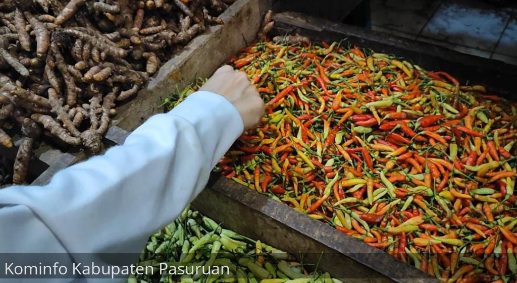 Jelang Nataru, Harga Cabai Rawit di Pasuruan Samai Harga Daging Sapi
