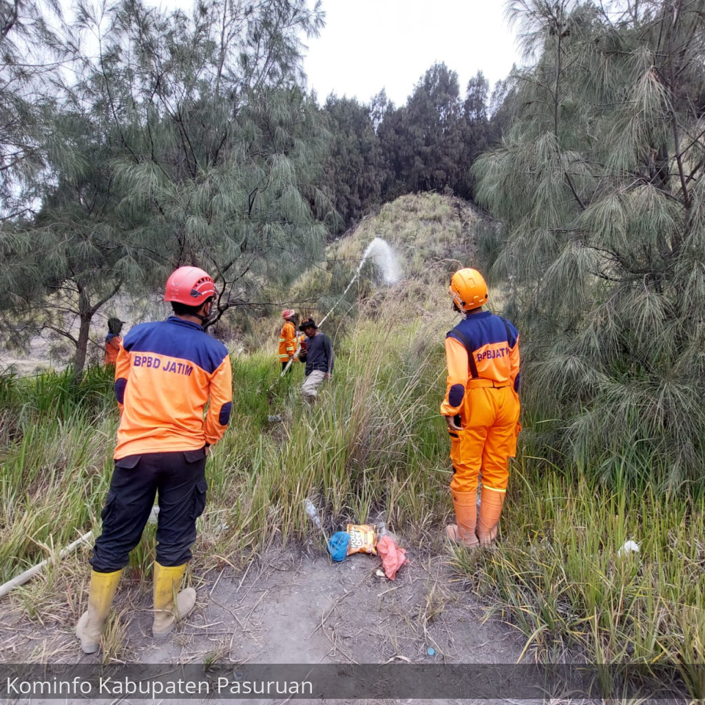 Kebakaran di Gunung Bromo Dipastikan Padam