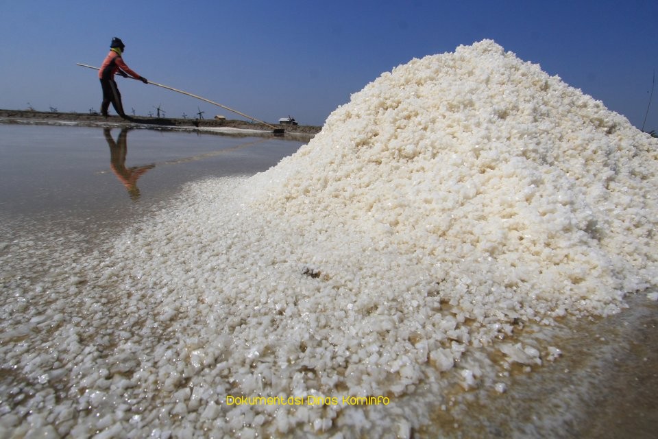 Melebihi Target Tahunan, Produksi Garam di Kabupaten Pasuruan Capai 17 Ribu Ton 