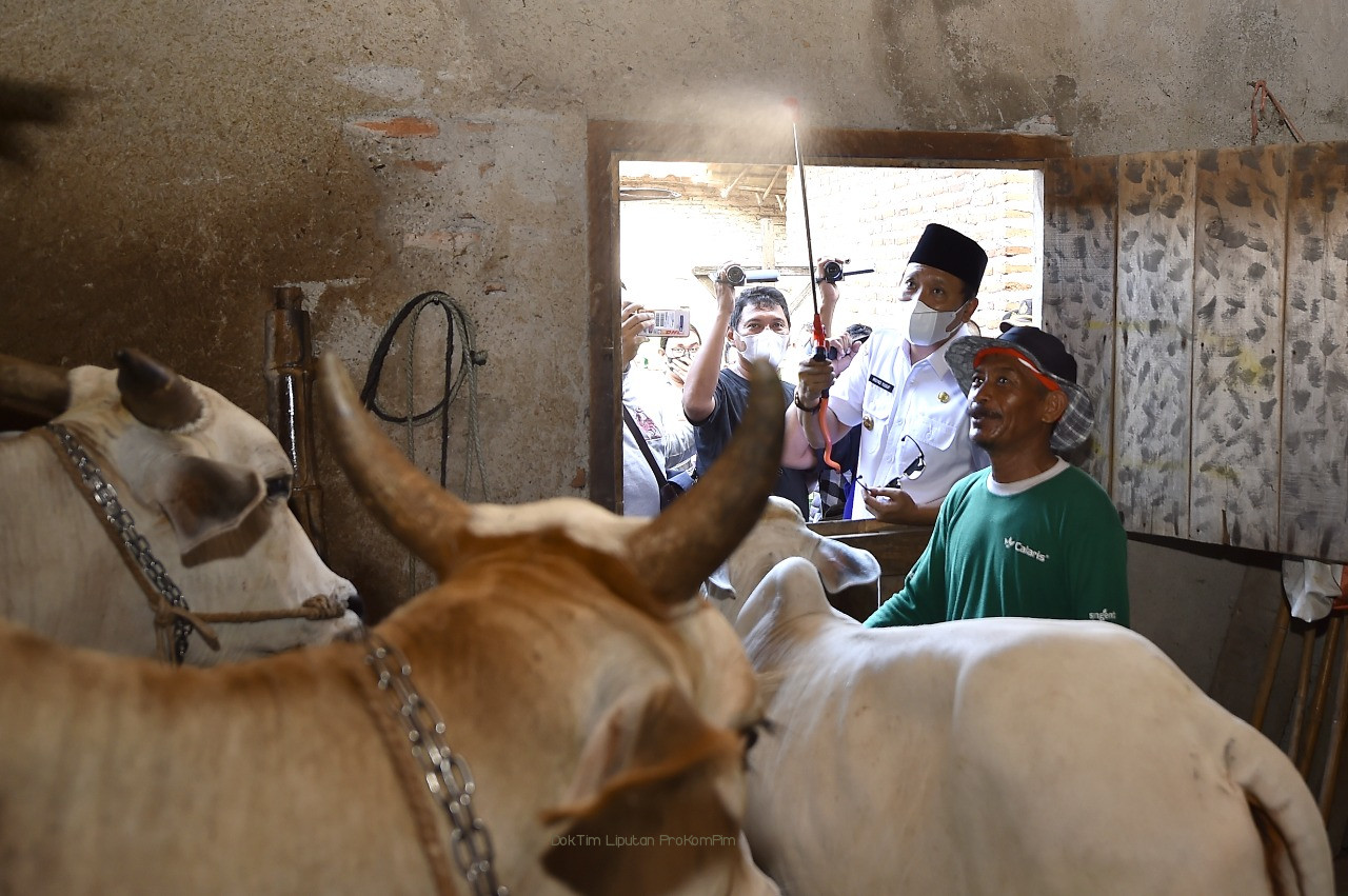 Penyumbang 30% Populasi di Jatim, Bupati Irsyad Yusuf Minta Lalu Lintas Ternak di Kabupaten Pasuruan Diawasi 