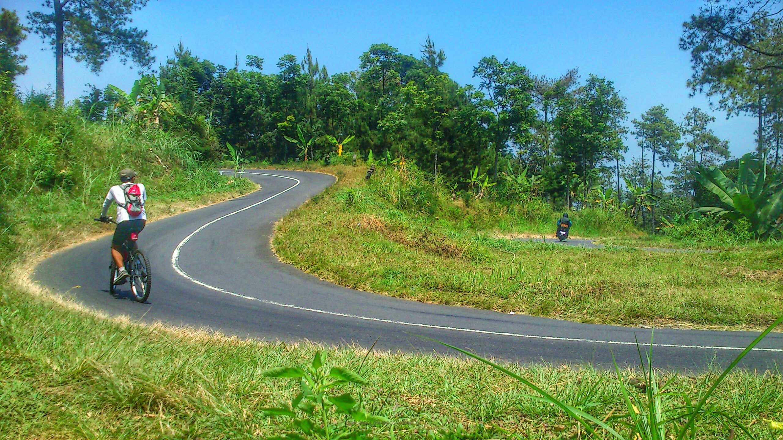 Kementrian Pariwisata Segera Bangun Rest Area di Kecamatan Puspo