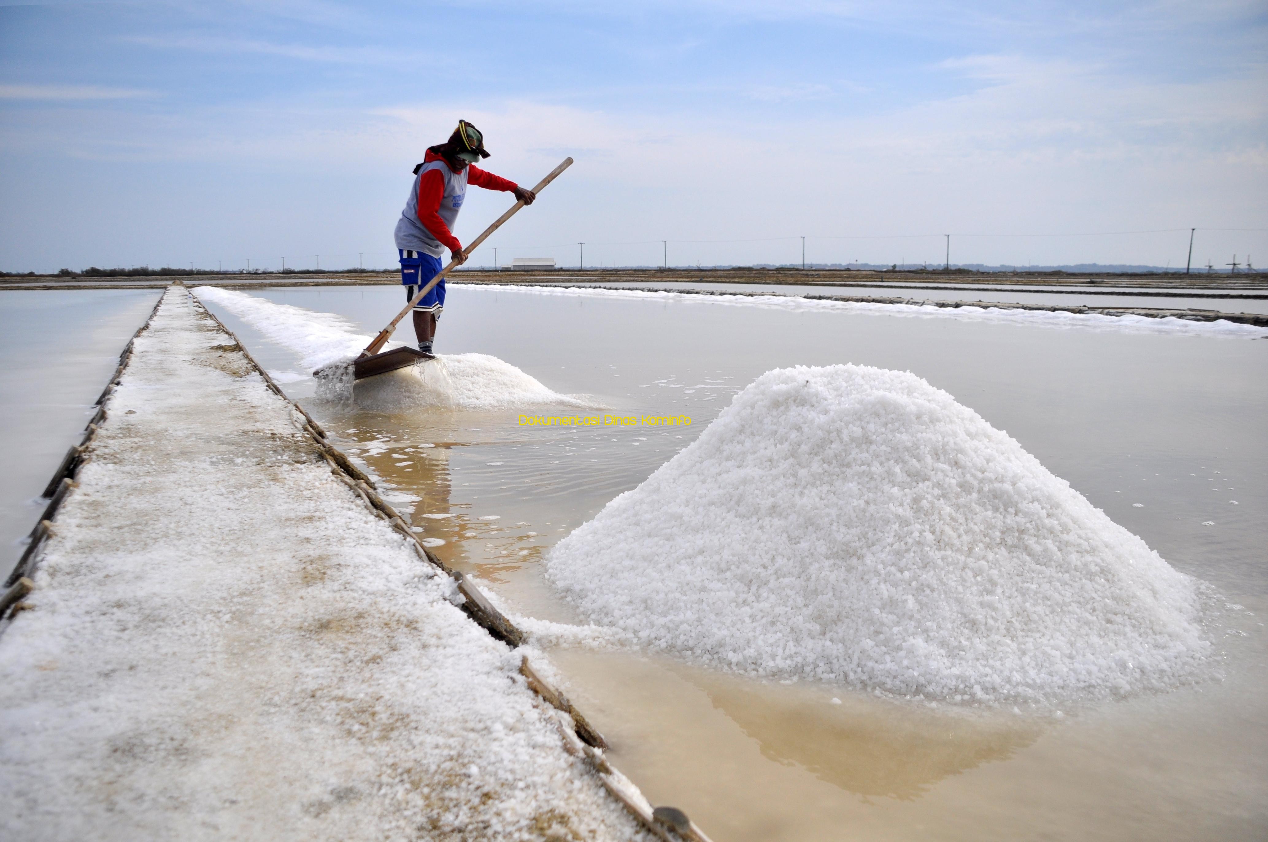 Kejar Target, Produksi Garam di Kabupaten Pasuruan Capai 152 Ton