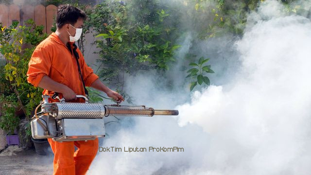 Waspadai Demam Berdarah, Januari Sudah ada 17 Kasus di Kabupaten Pasuruan