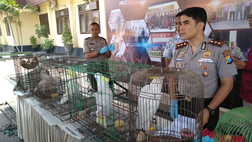 Polres Pasuruan Amankan Belasan Satwa Dilindungi 