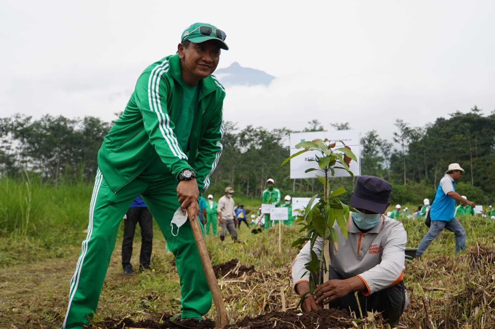 Gambar berita