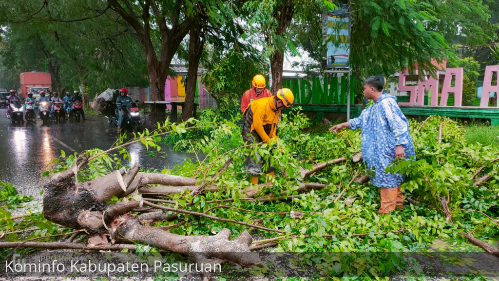 BPBD Kabupaten Pasuruan Himbau Masyarakat Waspadai Angin Kencang Hingga Beberapa Hari Ke Depan