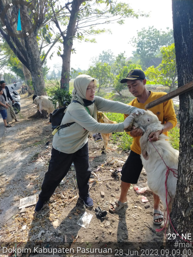 Hewan Kurban di Kabupaten Pasuruan, Aman dan Sehat
