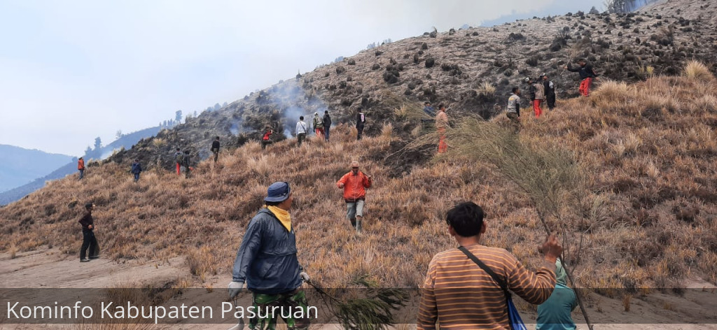 Kebakaran di Bukit Teletubbies, Objek Wisata Gunung Bromo Ditutup