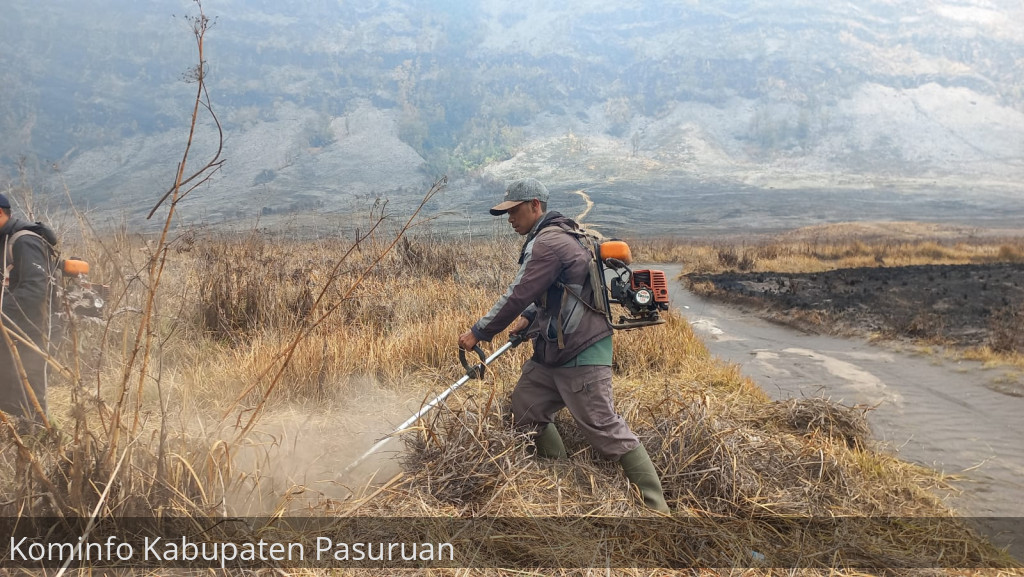 Ratusan Warga Tengger Kerja Bakti di Lahan Terdampak Kebakaran Bromo