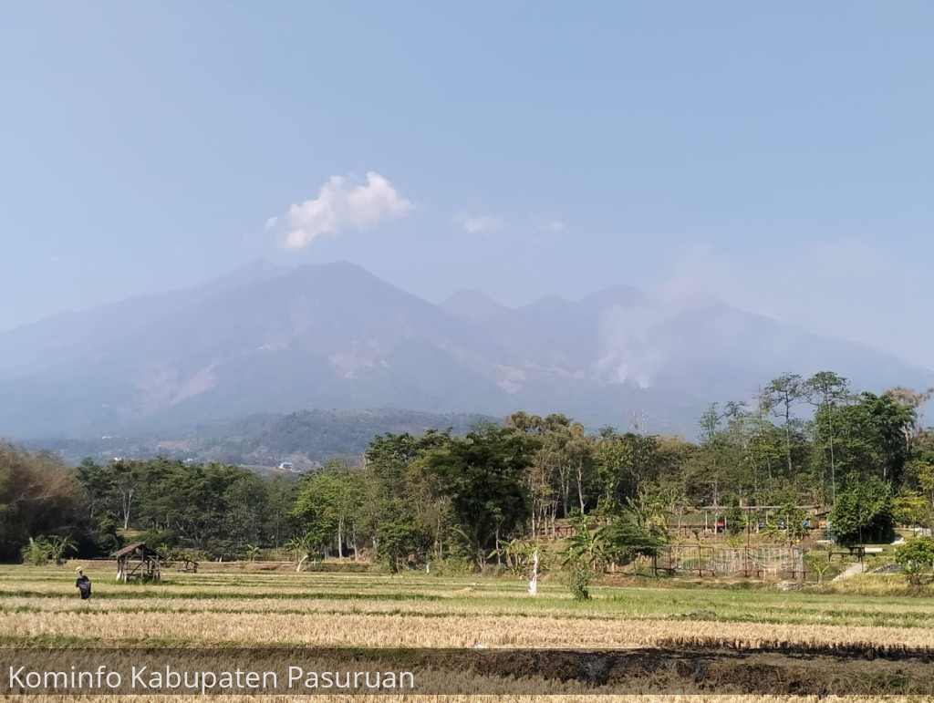 Kebakaran Hutan dan Lahan di Gunung Arjuno, Mulai Terkendali