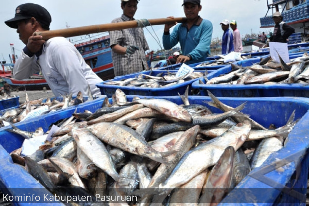Produksi Tangkapan Ikan di Kabupaten Pasuruan Ditargetkan 21.000 Ton