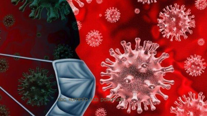 Sudah 672 Warga Kabupaten Pasuruan Yang Terpapar Virus Corona