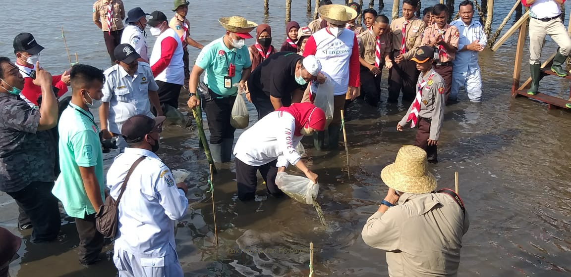 Resmikan Festival Mangrove, Gubernur Khofifah Ajak Masyarakat Sedekah Oksigen