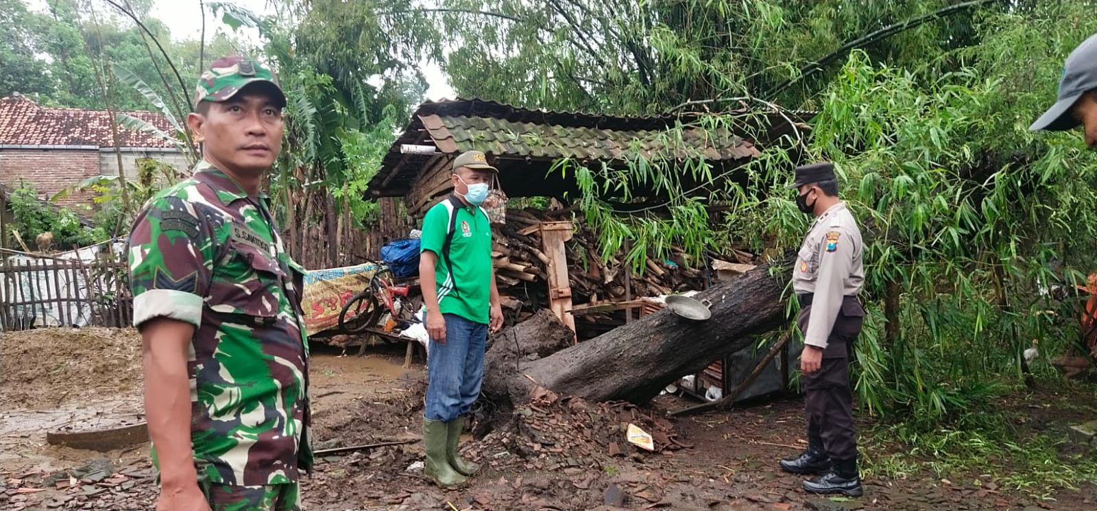 Puluhan Rumah Warga di Kecamatan Nguling Disapu Puting Beliung. BPBD Hingga Warga Gotong Royong Membersihkan Rumah Terdampak 