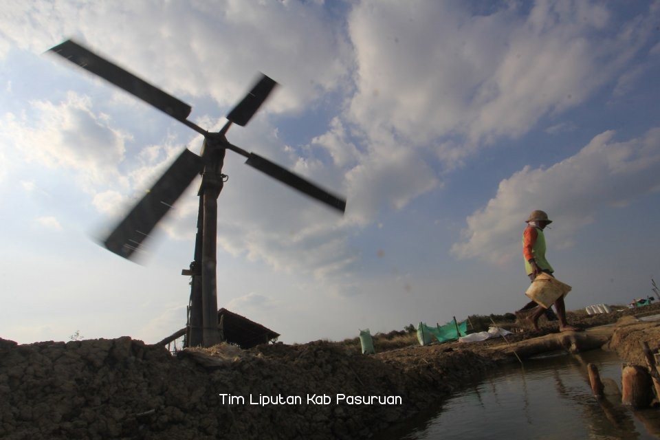 Pemprov Jatim Gelontorkan Rp 600 Juta Untuk Pembangunan Jalan Produksi Garam di Kabupaten Pasuruan