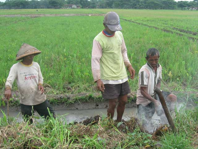 10 Tahun Tak Pernah Muncul Kasus, Dinkes Kabupaten Pasuruan Himbau Masyarakat Waspadai PES