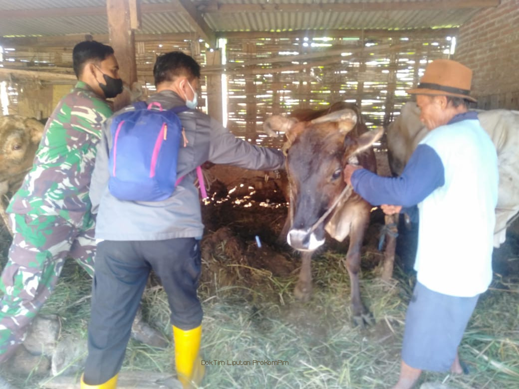 Vaksinasi PMK Tahap Pertama di Kabupaten Pasuruan Capai 92%