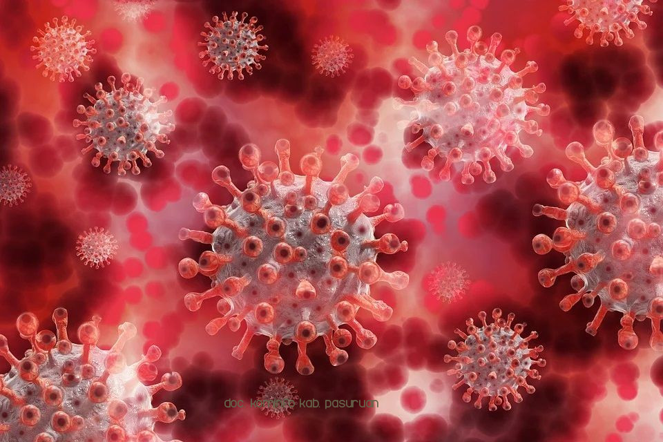9 Warga Kabupaten Pasuruan Terpapar Virus Corona. Total 295 Positif Covid-19