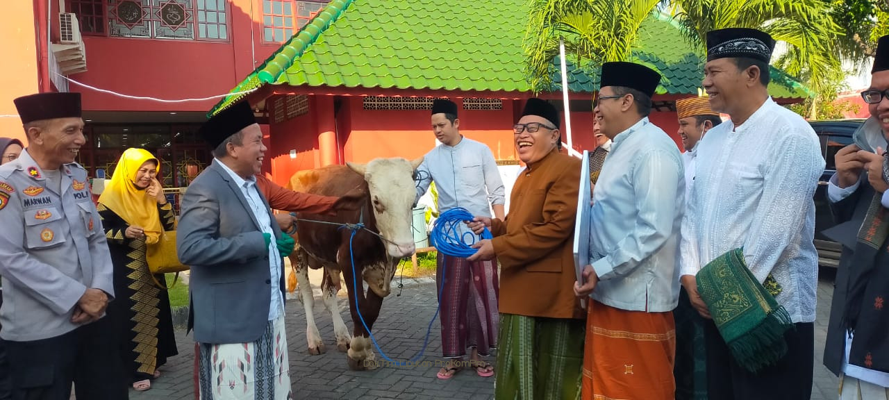 Plh Bupati Mujib Imron Serahkan Sapi Brahma Berbobot 350 Kg Ke Pengurus Masjid Cheng Hoo 