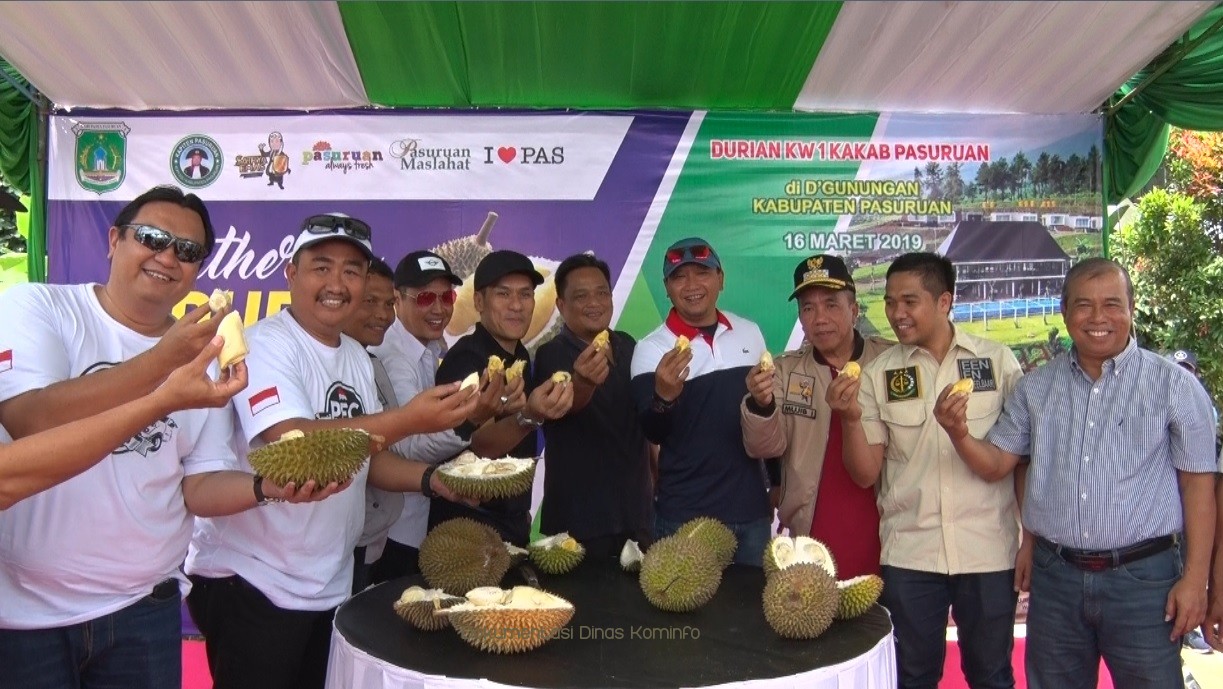 Populerkan Durian Kakab, Pemkab Pasuruan Gelar Gathering Durian 