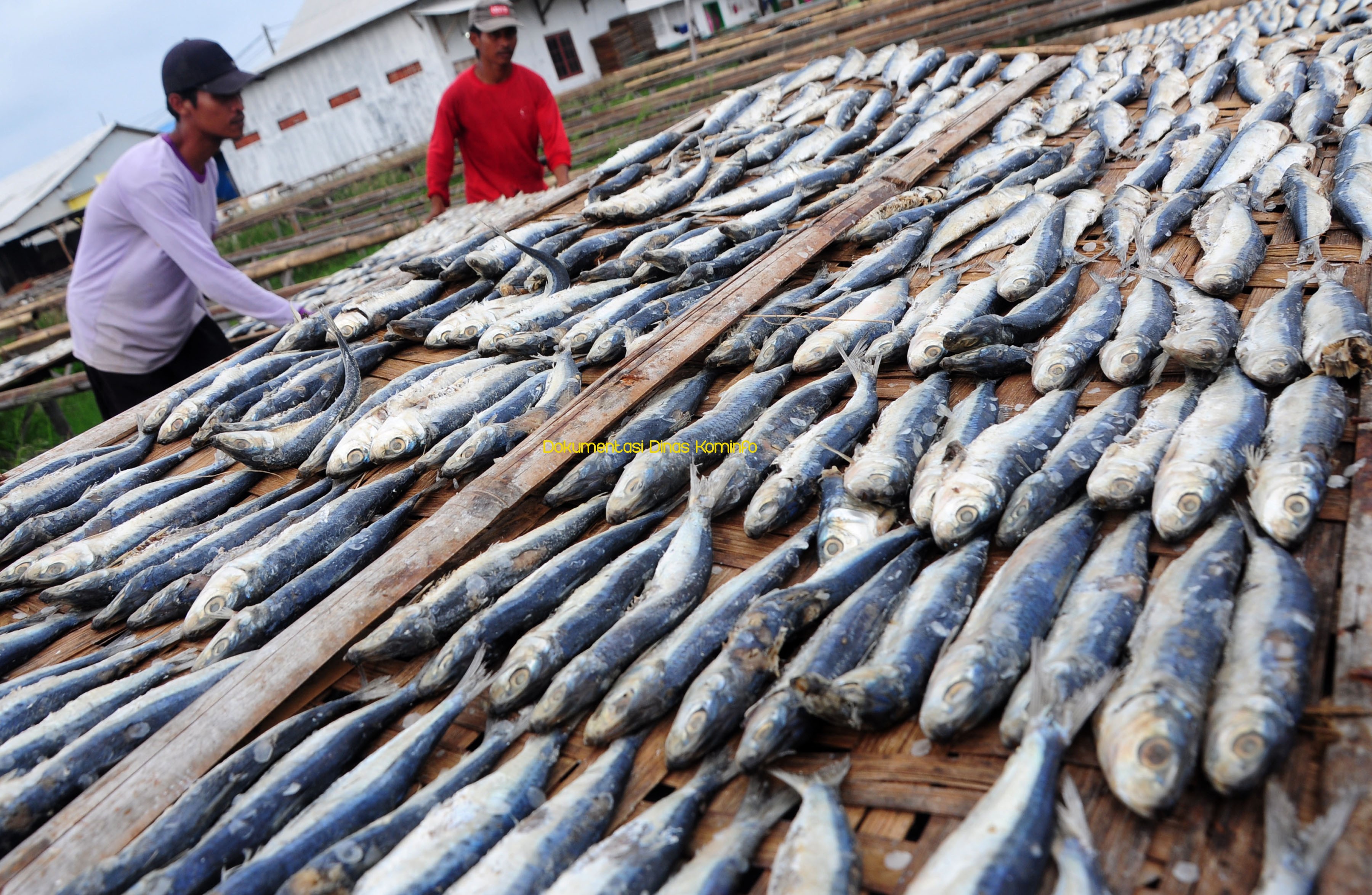 Hasil Tangkapan Ikan Laut di Kabupaten Pasuruan Terus Meningkat