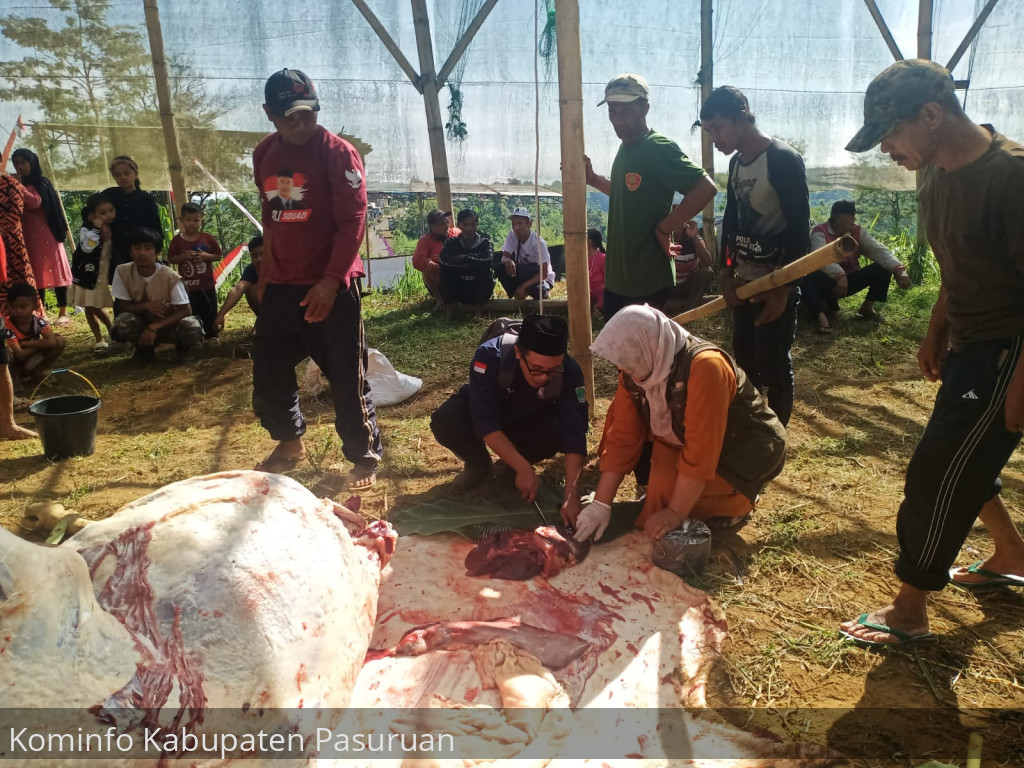 Pastikan Hewan Qurban Layak Dikonsumsi. Dinas Peternakan dan Kesehatan Hewan Kabupaten Pasuruan Lakukan Pemeriksaan Post Mortem