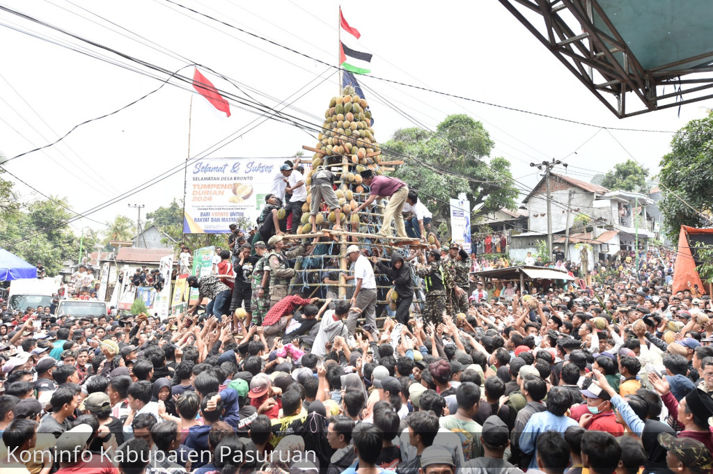 Ribuan Warga Berebut Gunungan Durian Raksasa di Desa Kronto, Kecamatan Lumbang