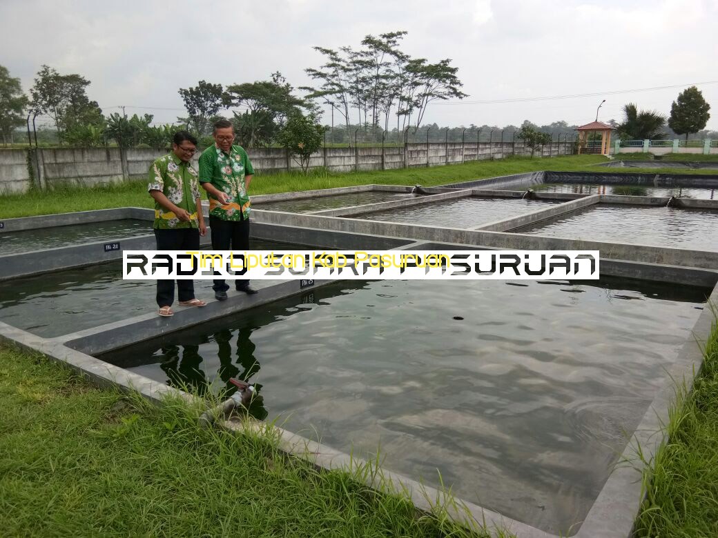 Terbukti Tingkatkan Produksi Benih Ikan Nila Sampai 60%, Dinas Perikanan Kabupaten Pasuruan Gunakan Teknologi Mina Katon