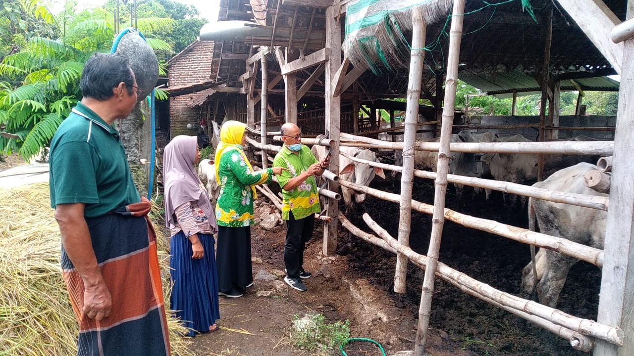 Bupati Irsyad Yusuf Minta Masyarakat Stop Beli Pakan Ternak Dari Daerah Wabah