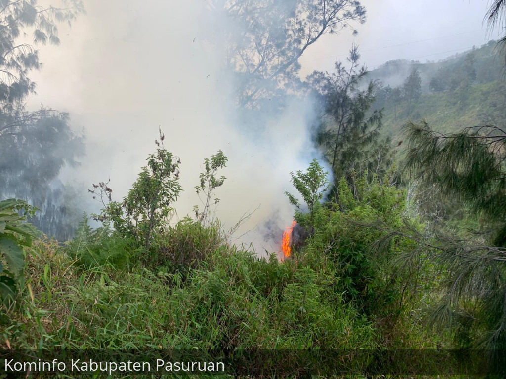 Kebakaran di Bukit Kingkong. 3,5 Jam Api Baru Bisa dipadamkan
