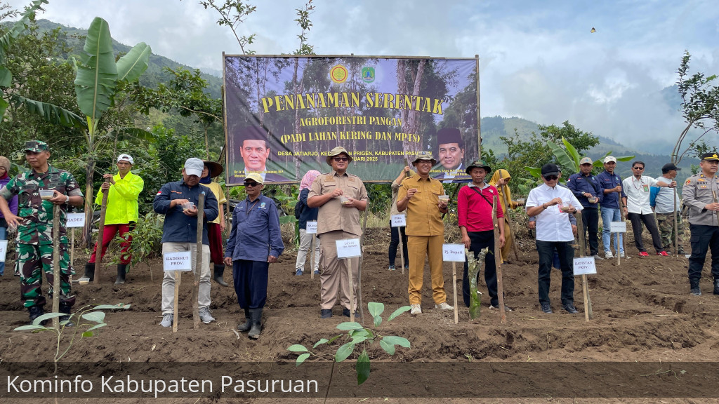 Optimalisasi Lahan Kering. Pemkab Pasuruan Gelorakan Tanam Padi Gogo