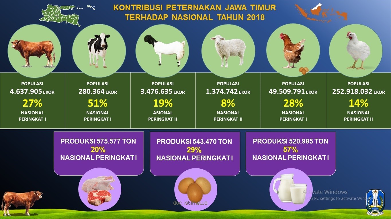 Gambar berita