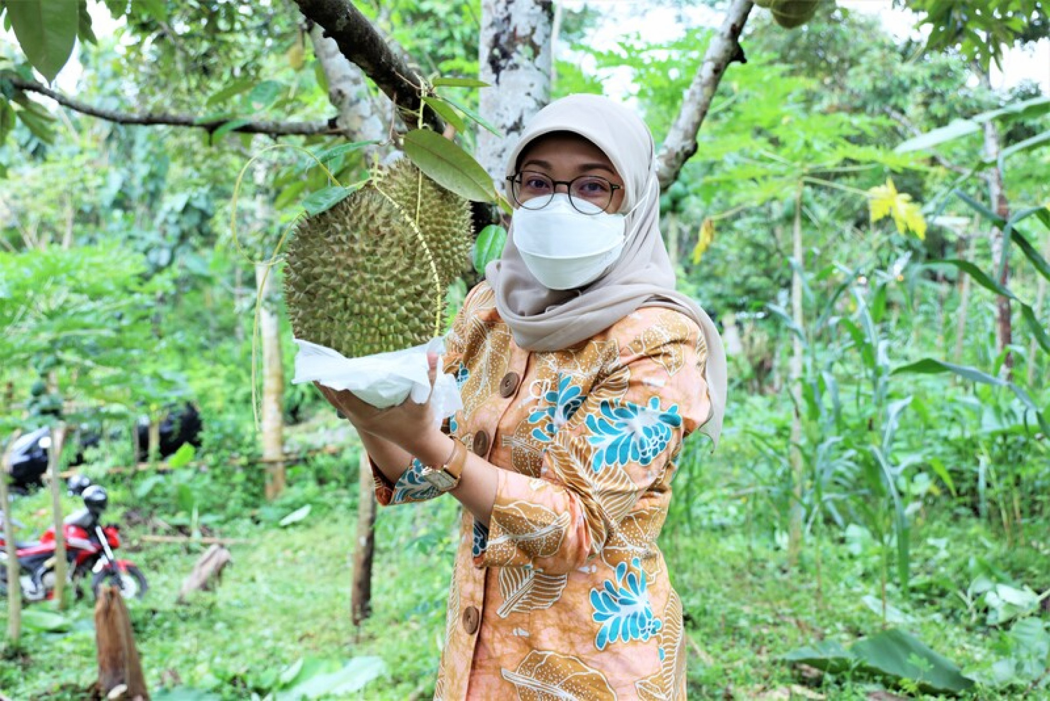 Sampul untuk Petik Durian
