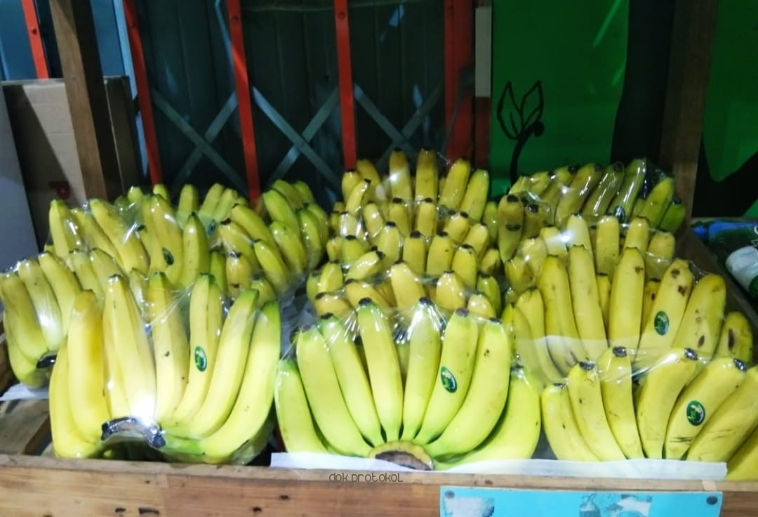 Menilik Pembibitan Pisang Cavendish Di Desa Kalirejo Kecamatan Gondangwetan Yang Tembus Supermarket