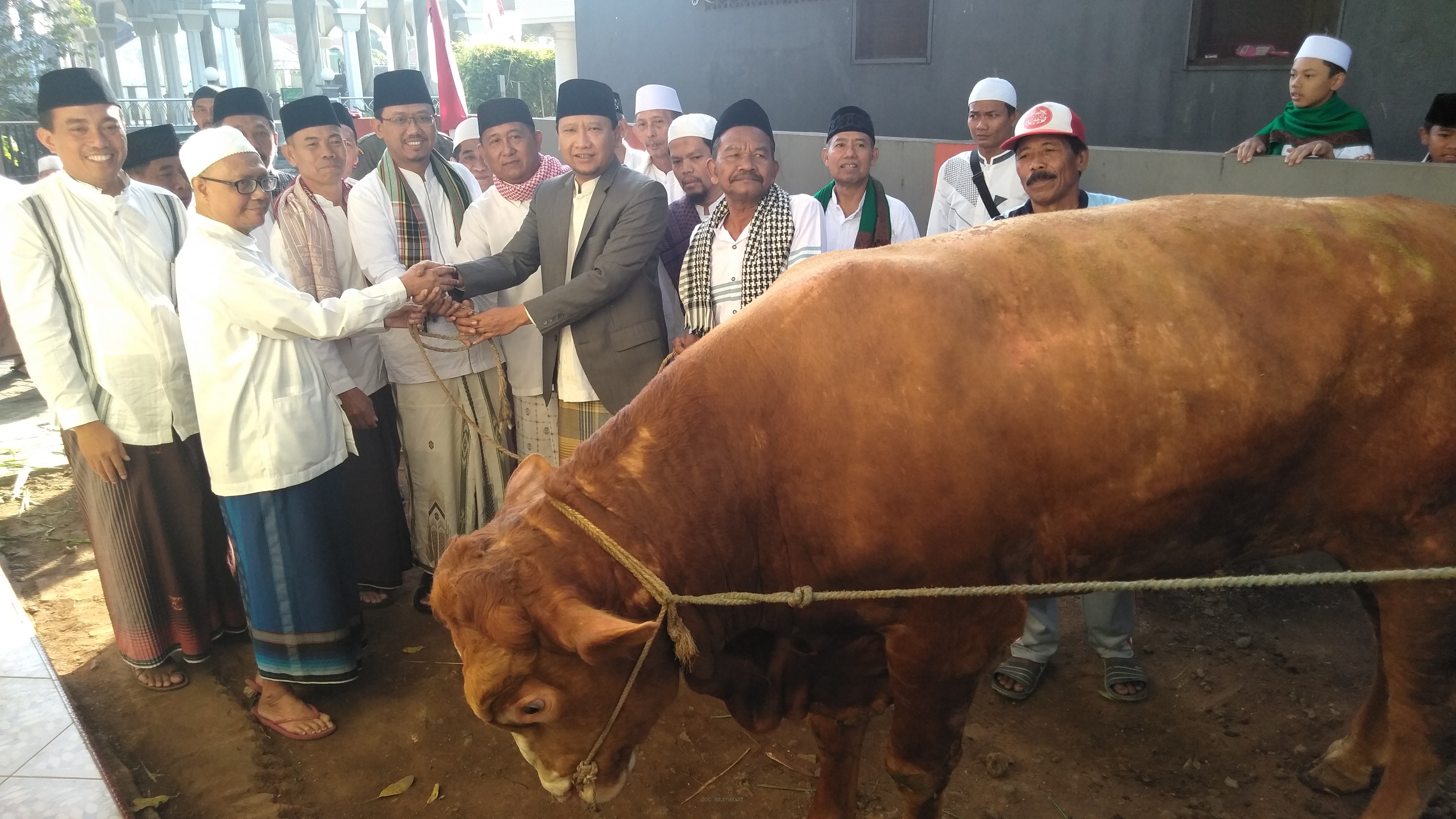 Hari Raya Idul Adha, Bupati Irsyad Yusuf Berqurban 2 Sapi Limosin dan Simental