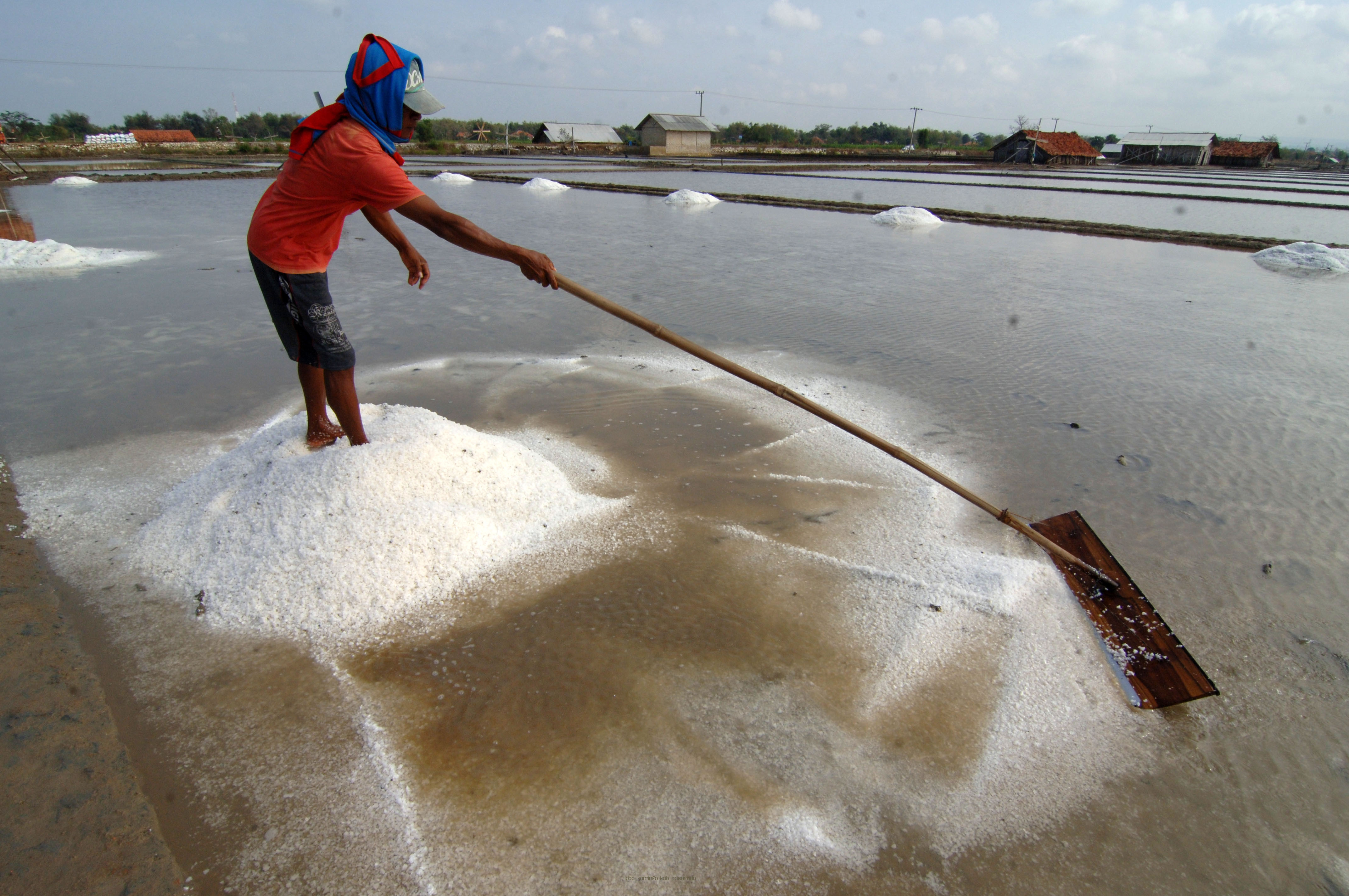 Meski Hujan, Produksi Garam di Kabupaten Pasuruan Terus Berlanjut