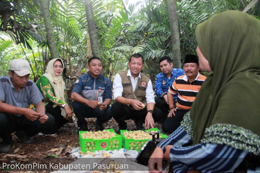 Meski Pangsa Pasar Bagus, Pemkab Pasuruan Intens Populerkan Branding Duku Rejoso Ke Khalayak