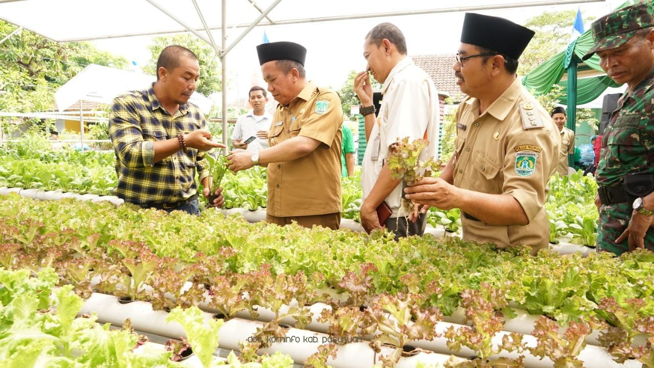 Dukung Inovasi Pengembangan Pertanian, Wabup Pasuruan Tinjau Lokasi Hidroponik