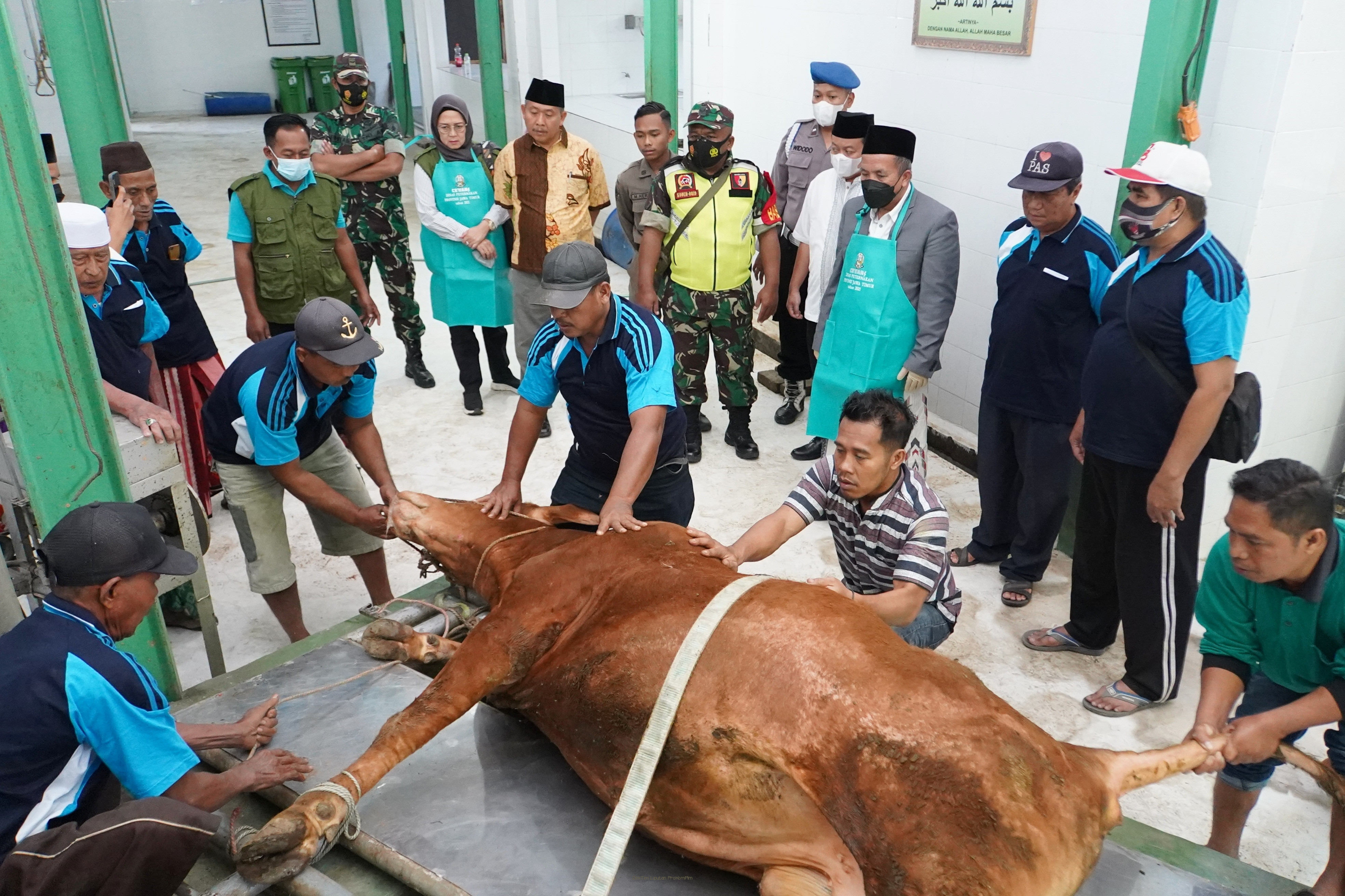 Pastikan Penyembelihan Hewan Qurban Sesuai SOP dan Syariat Agama, Plh Bupati Mujib Imron Sidak RPH 