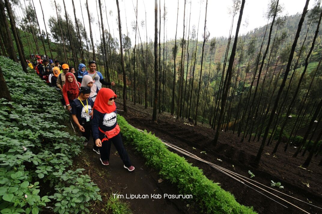 Sensasional dan Menantang, Ketua TP PKK Kabupaten Pasuruan, Ny Lulis Irsyad Yusuf Jajal Bromo Fun Tracking