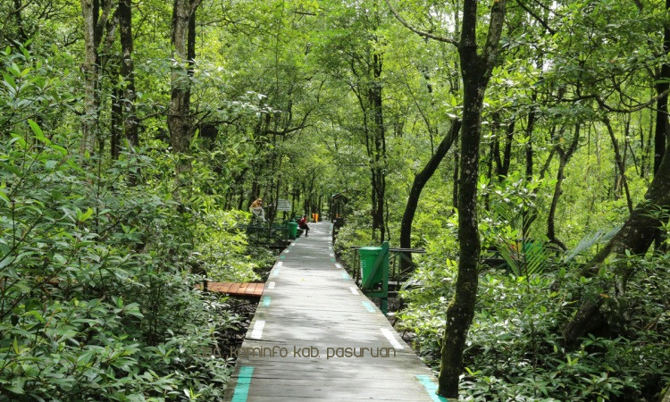 Jalan-Jalan Ke Wisata Hutan Mangrove di Desa Penunggul, Kecamatan Nguling