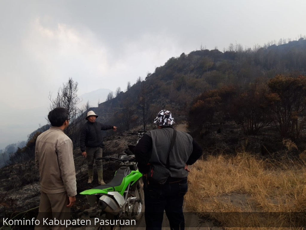 Kobaran Api di Bukit Keciri, Tutur Sudah Bisa Dipadamkan